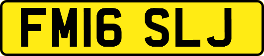 FM16SLJ