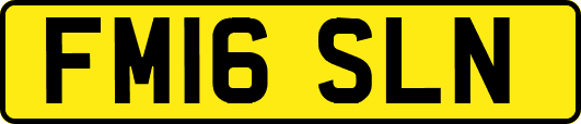 FM16SLN