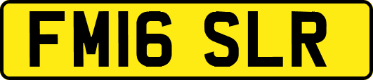 FM16SLR