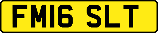 FM16SLT