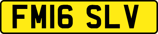 FM16SLV