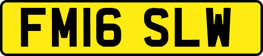 FM16SLW