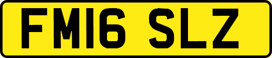 FM16SLZ