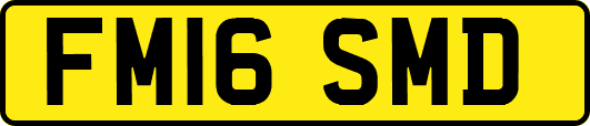 FM16SMD