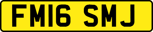 FM16SMJ