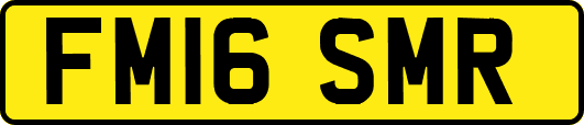 FM16SMR