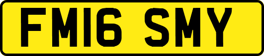 FM16SMY