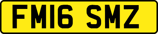 FM16SMZ