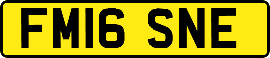 FM16SNE