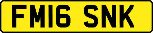 FM16SNK