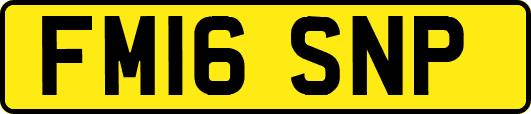 FM16SNP