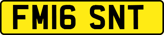 FM16SNT