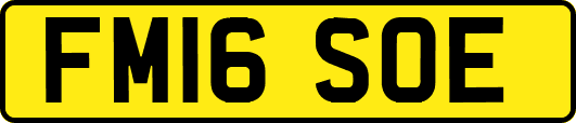 FM16SOE
