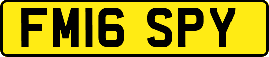 FM16SPY