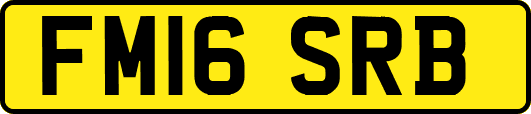 FM16SRB