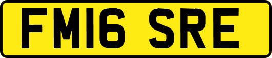 FM16SRE
