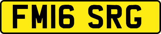 FM16SRG