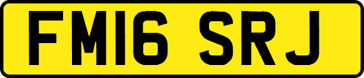 FM16SRJ