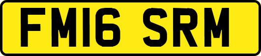 FM16SRM