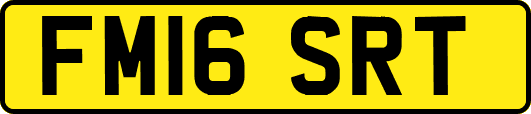 FM16SRT