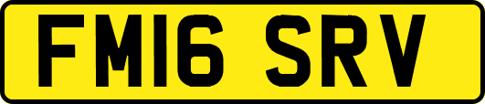 FM16SRV