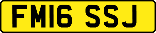 FM16SSJ