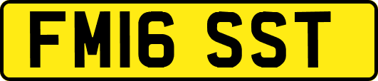 FM16SST