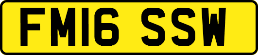 FM16SSW