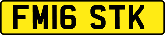 FM16STK