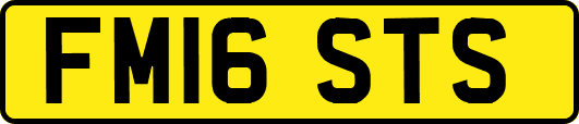FM16STS