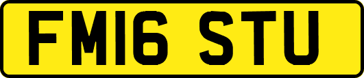 FM16STU