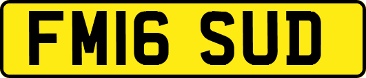 FM16SUD