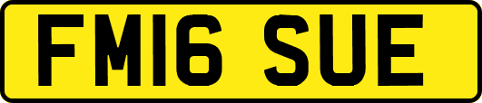 FM16SUE