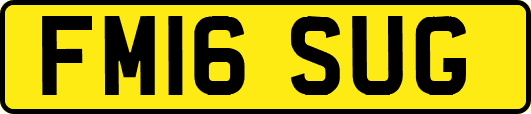 FM16SUG