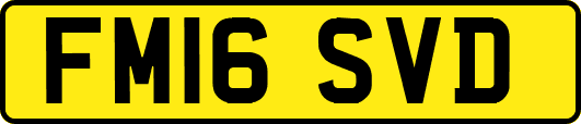 FM16SVD