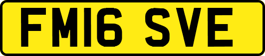 FM16SVE