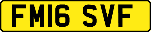 FM16SVF