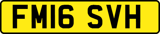 FM16SVH