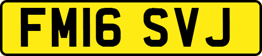 FM16SVJ