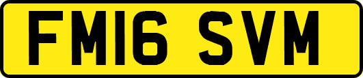 FM16SVM