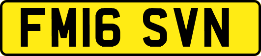 FM16SVN