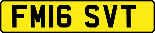 FM16SVT