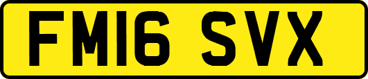 FM16SVX