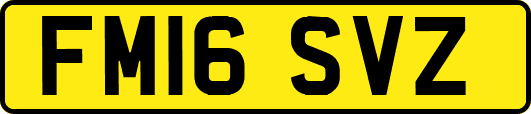 FM16SVZ