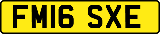FM16SXE