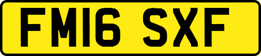FM16SXF