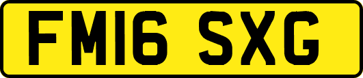 FM16SXG