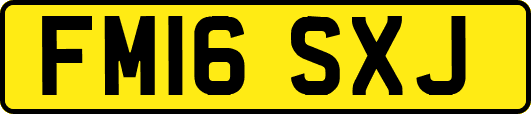 FM16SXJ