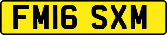 FM16SXM