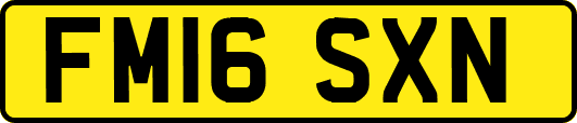 FM16SXN